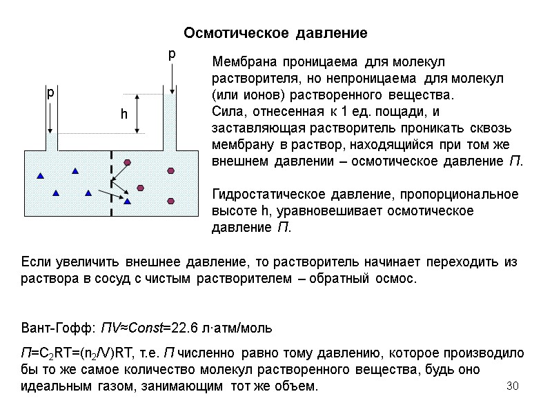 30 Осмотическое давление Мембрана проницаема для молекул растворителя, но непроницаема для молекул (или ионов)